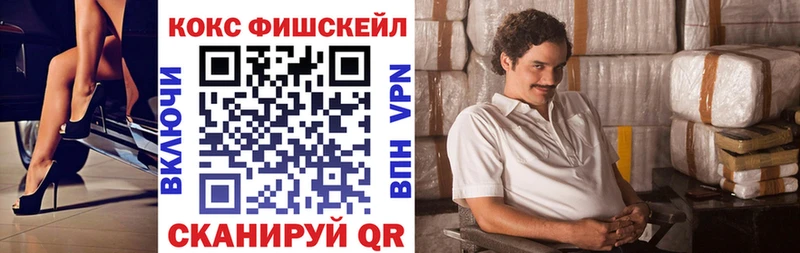 дарнет шоп  Благовещенск  COCAIN Fish Scale 