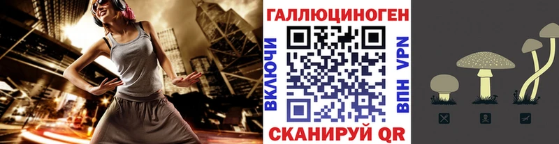гидра ссылка  даркнет сайт  Благовещенск  Псилоцибиновые грибы GOLDEN TEACHER 